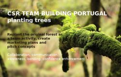 CSR reforesting Portugal, Team buiding